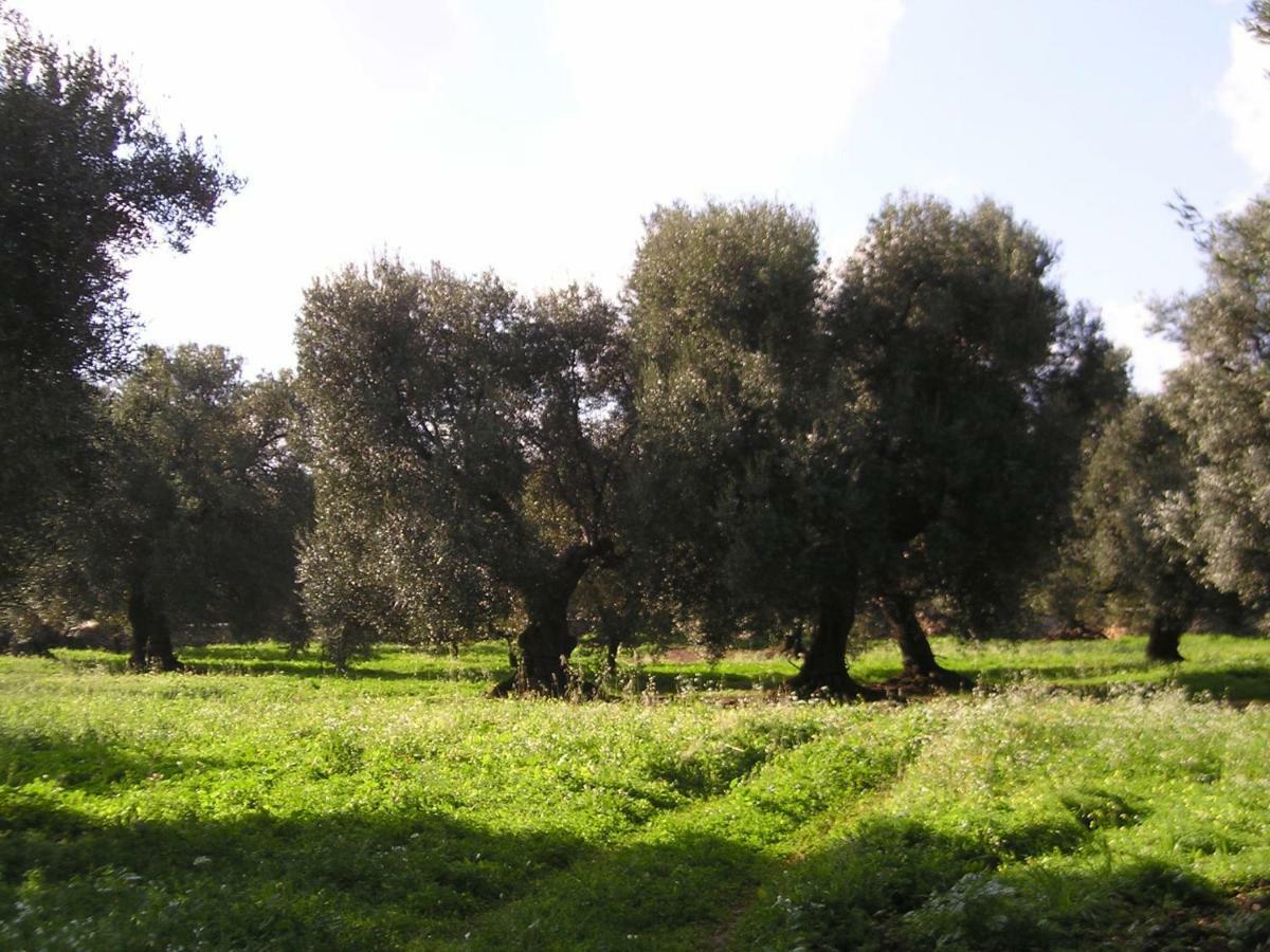 Masseria Gianecchia Cisternino Extérieur photo